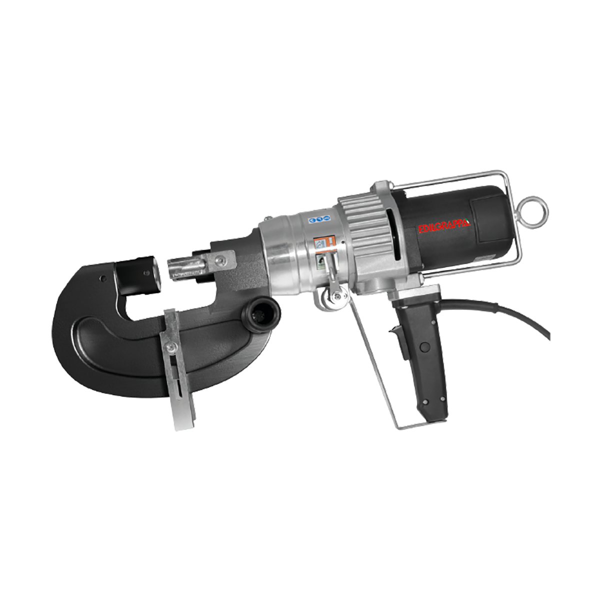 PZN28DE-MATRICE-SPORGENTE